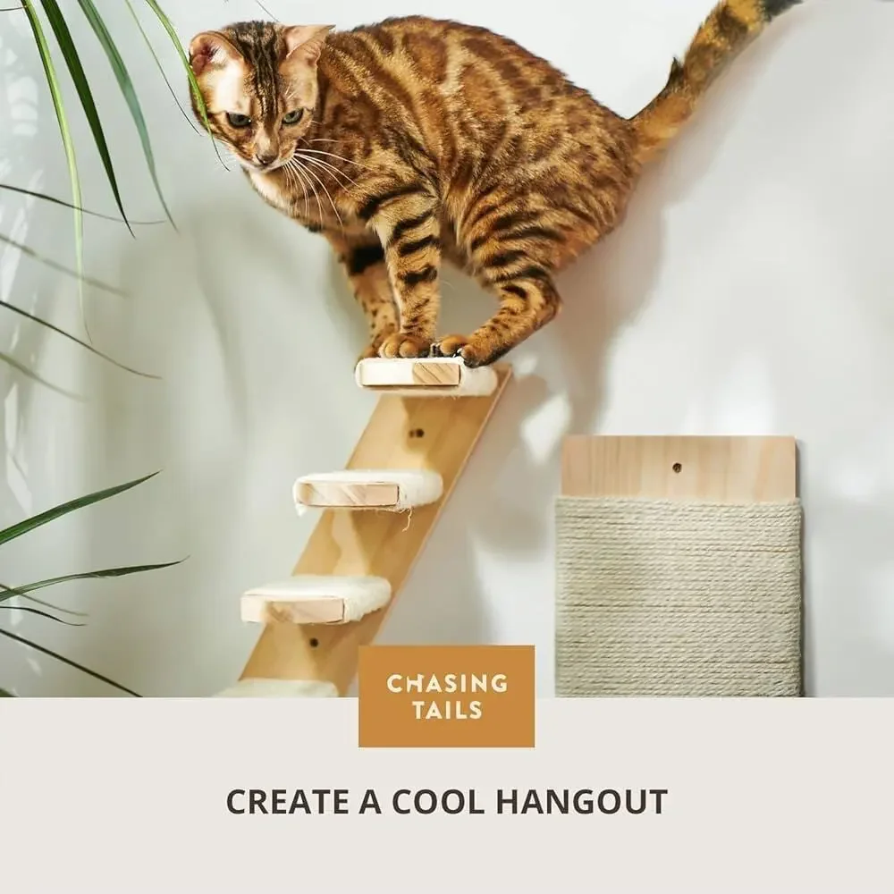 Cat Wall Shelves - Four Step Cat Shelf with Scratch Board